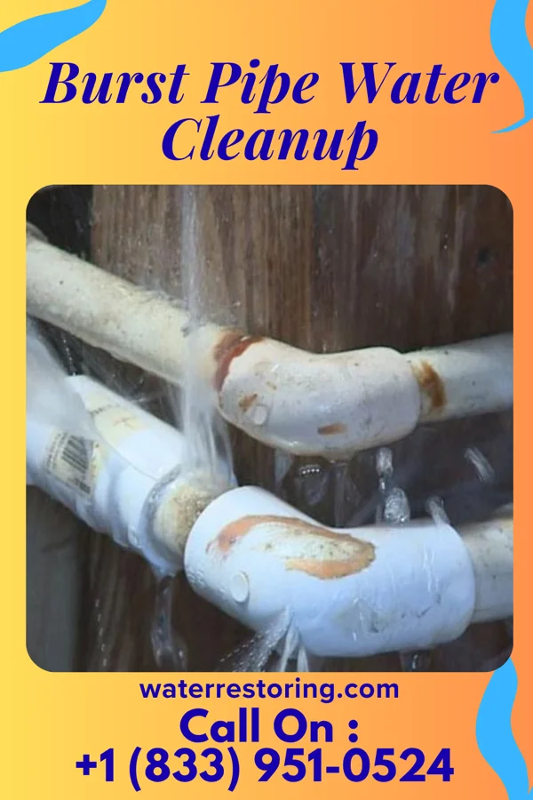 Burst Pipe Water Cleanup in Ten Mile Run, NJ