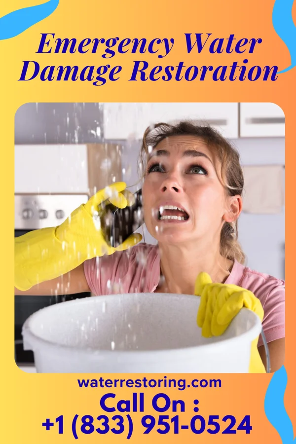 Emergency Water Damage Restoration in Ten Mile Run, NJ