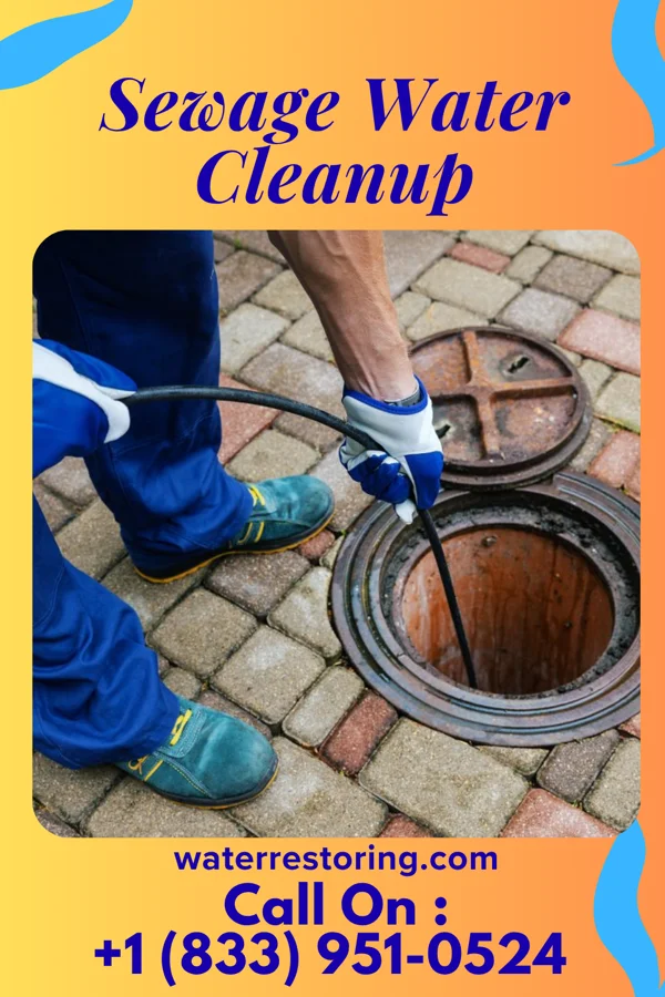 Sewage Water Cleanup in Ten Mile Run, NJ