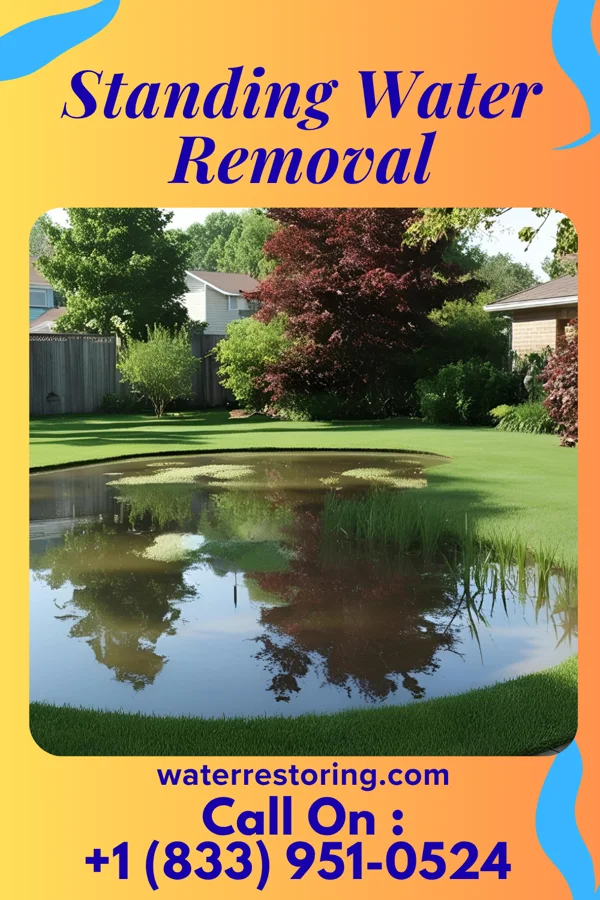 Standing Water Removal in Ten Mile Run, NJ